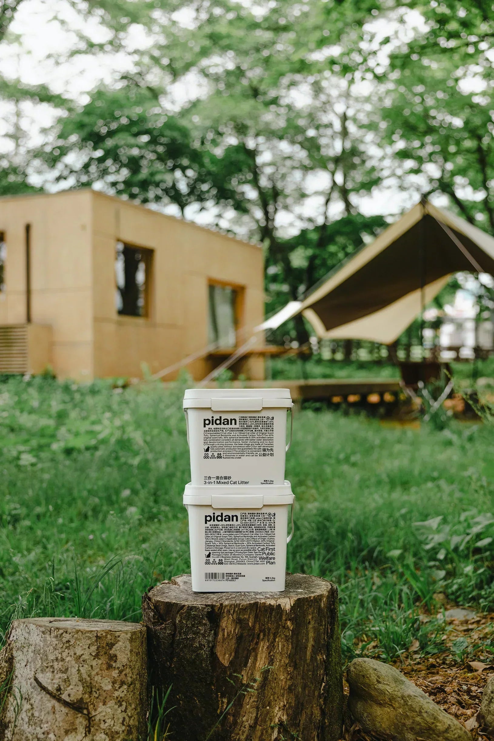 City Cats, Greener Paws