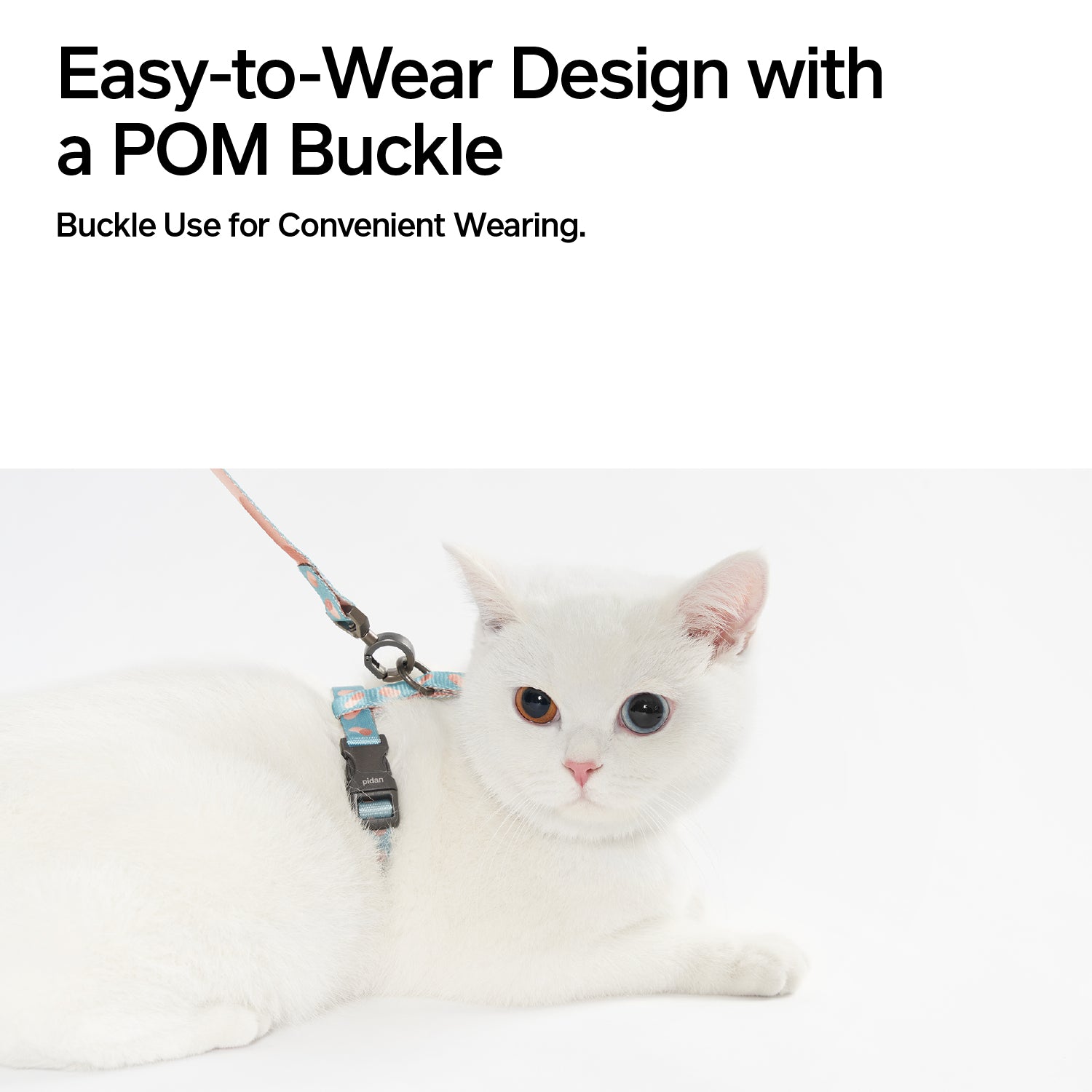 Cat Harness Set