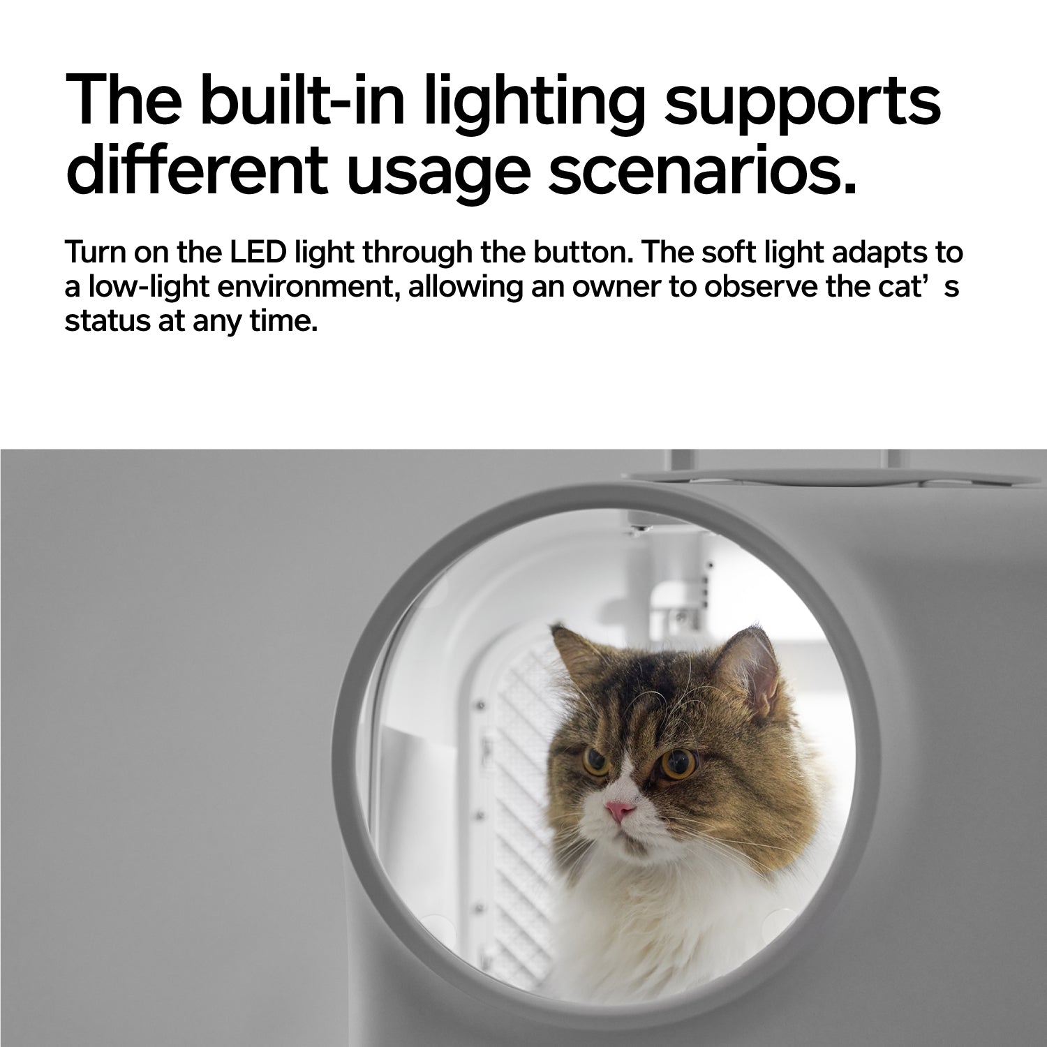 Pet Carrier with Ventilation System and LED Lighting