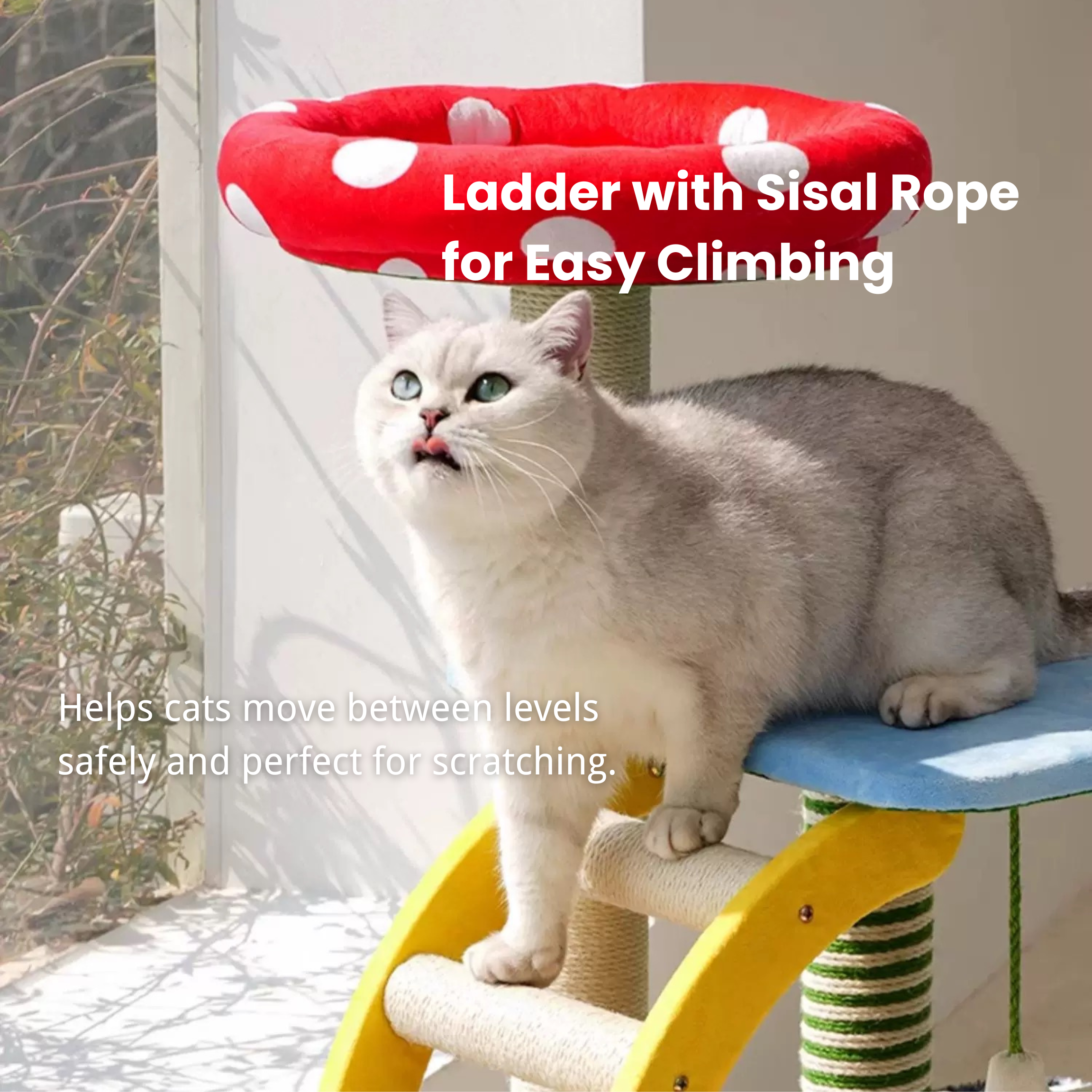 Colorful multi-level cat tree with sisal scratcher, red polka dot bed, mushroom perch, and hideaway.