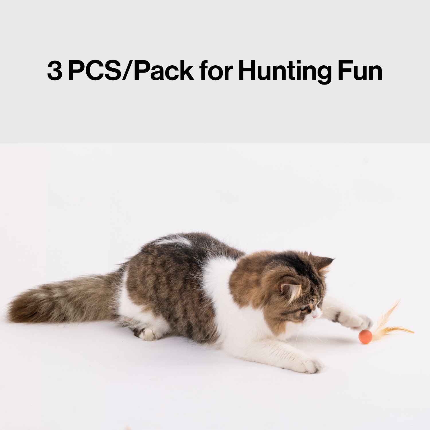 pidan Cat Toy Bouncy Ball & Feather Set (3-Pack)