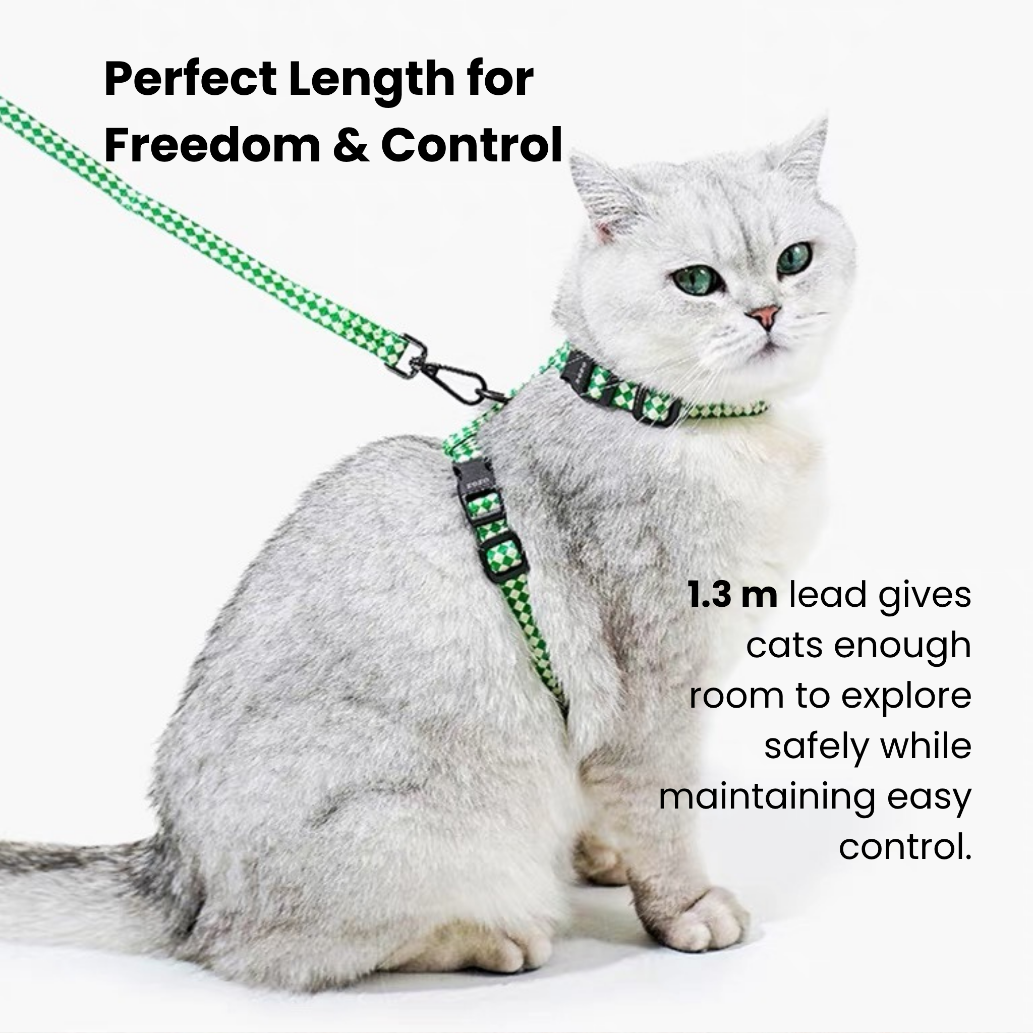 Green and white plaid H-style cat harness and leash set for secure walks.