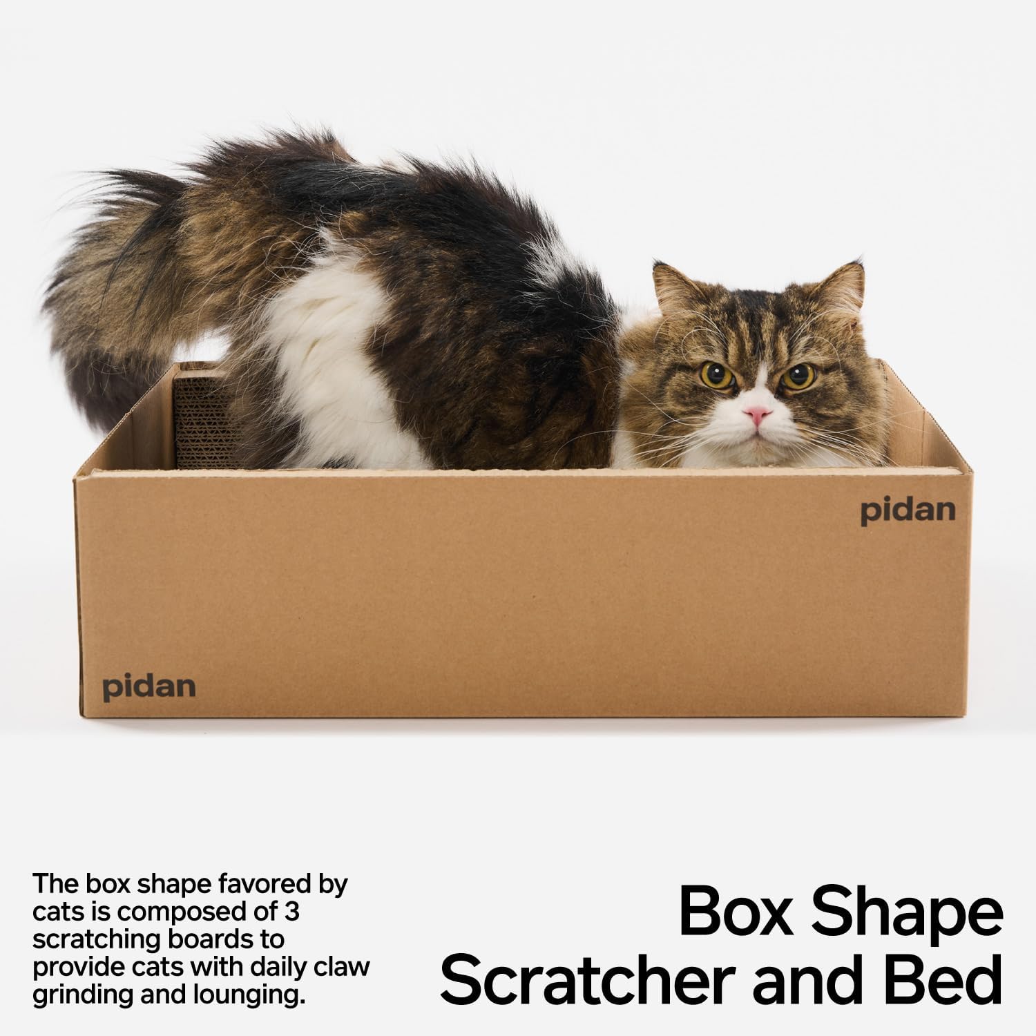 pidan Box Cat Scratcher