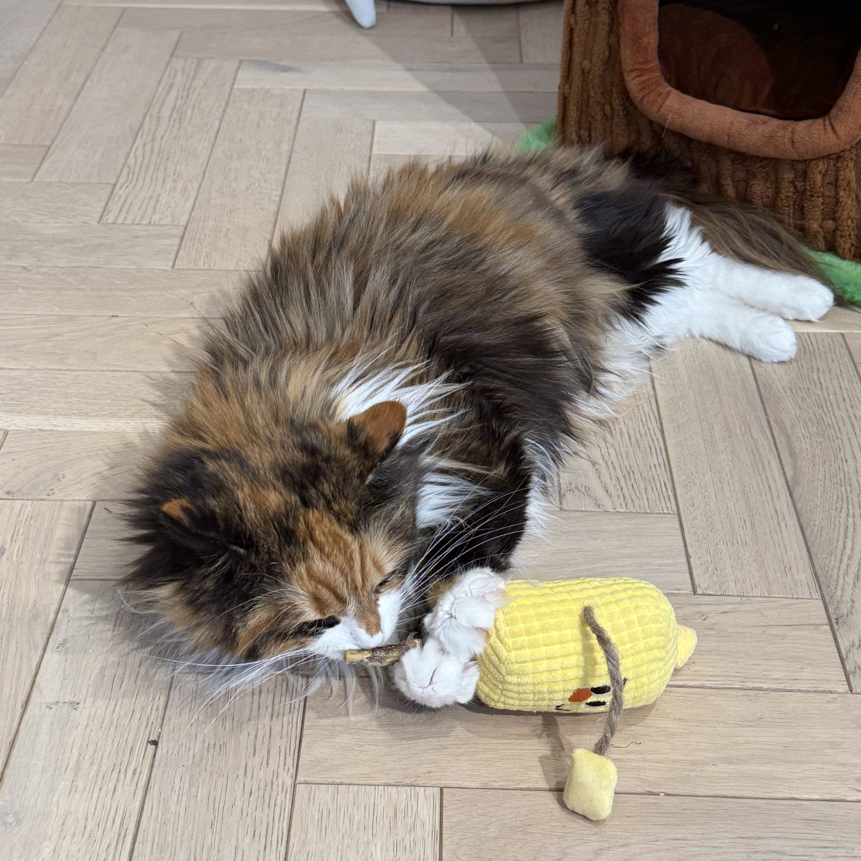 Silvervine Matatabi Wood Pet Toy With Catnip
