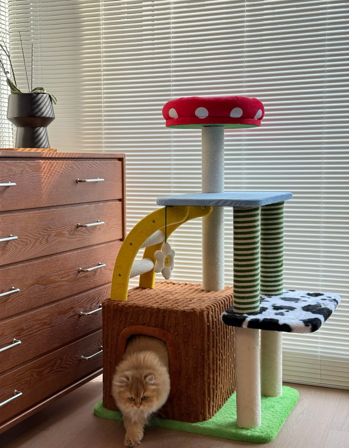 zeze 3-in-1 Multi-Function Cat Tree — Bed, Scratcher & Multi-Level Activity Tower