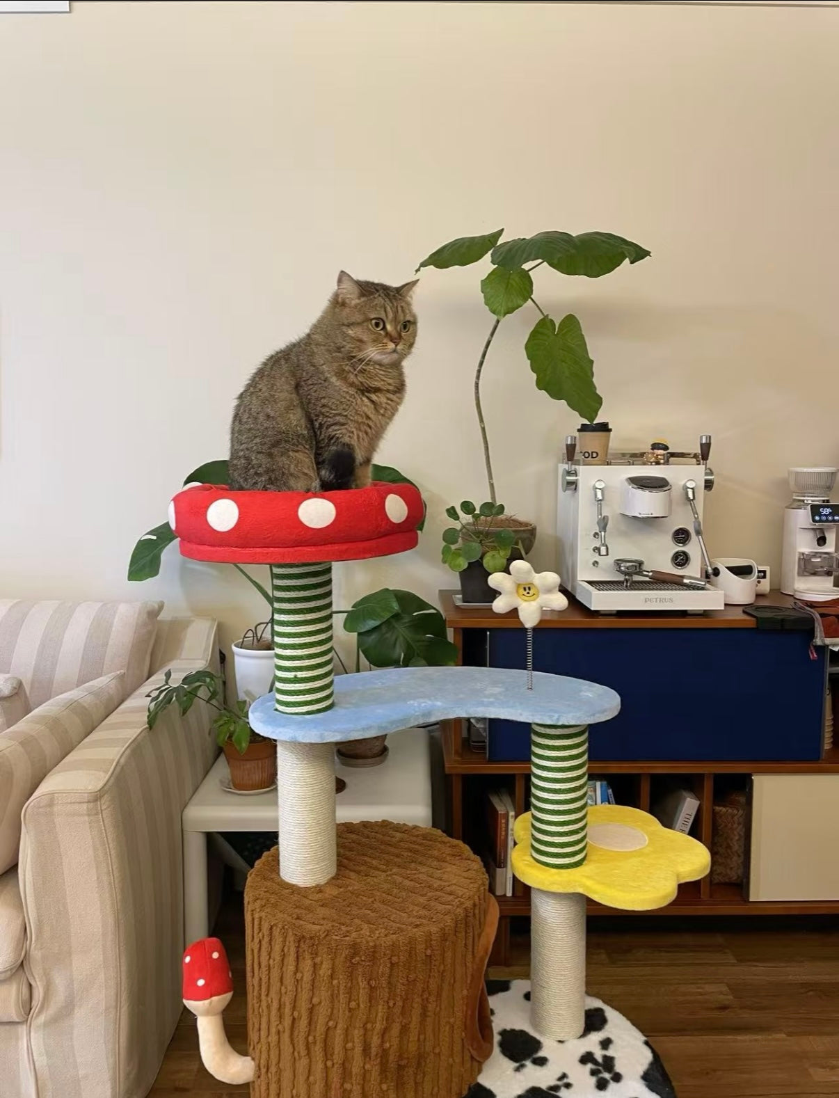 zeze Deluxe 3-in-1 Multi-Function Cat Tree — Bed, Scratcher & Multi-Level Activity Tower