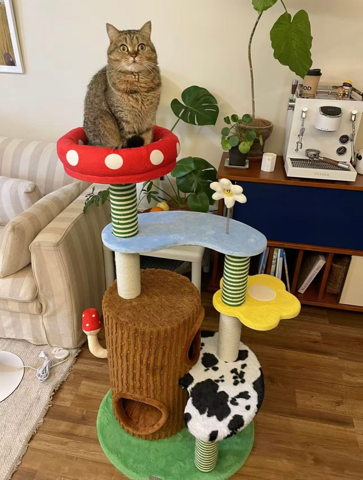 zeze Deluxe 3-in-1 Multi-Function Cat Tree — Bed, Scratcher & Multi-Level Activity Tower