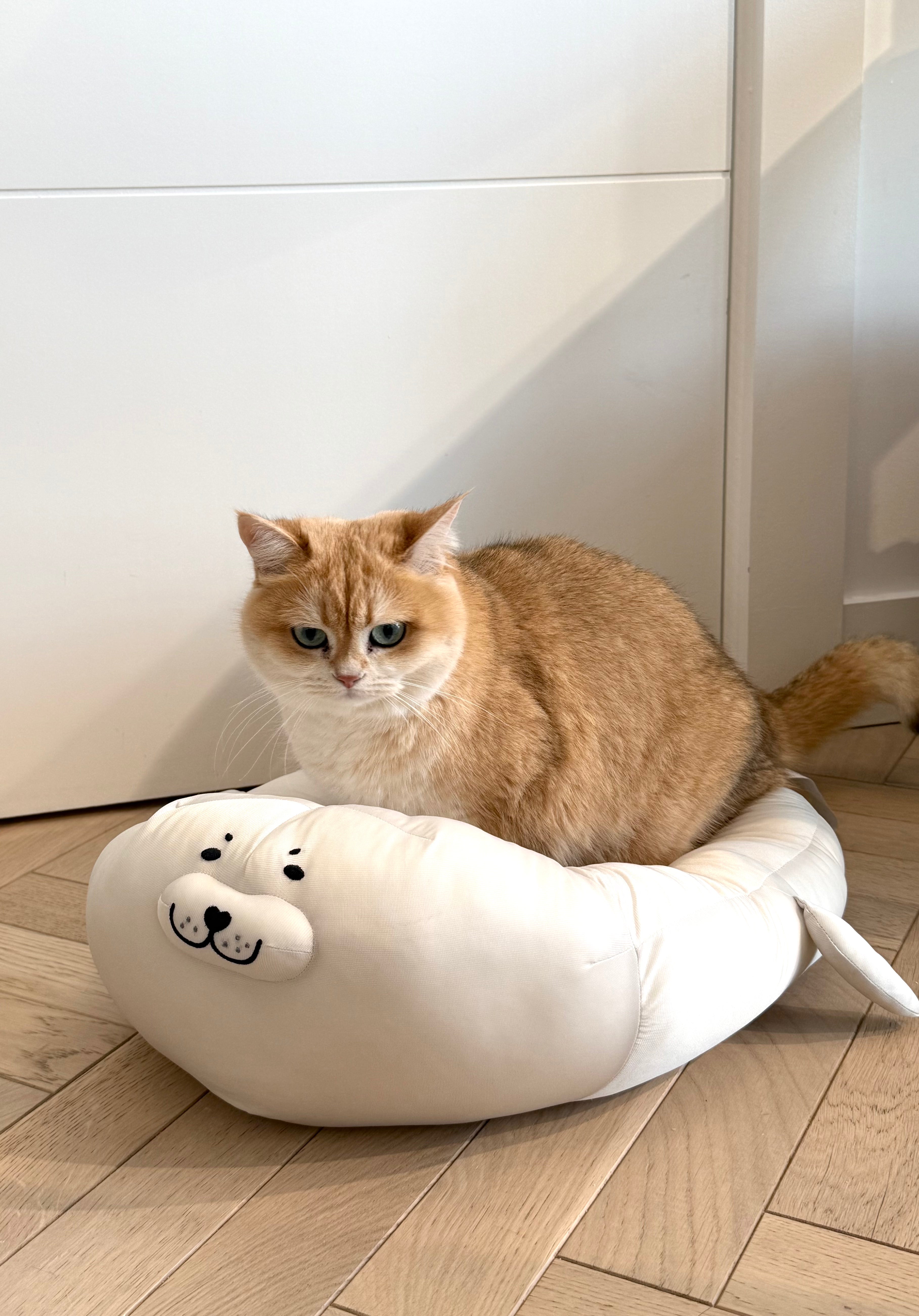 ZEZE cat bed (seal shape)
