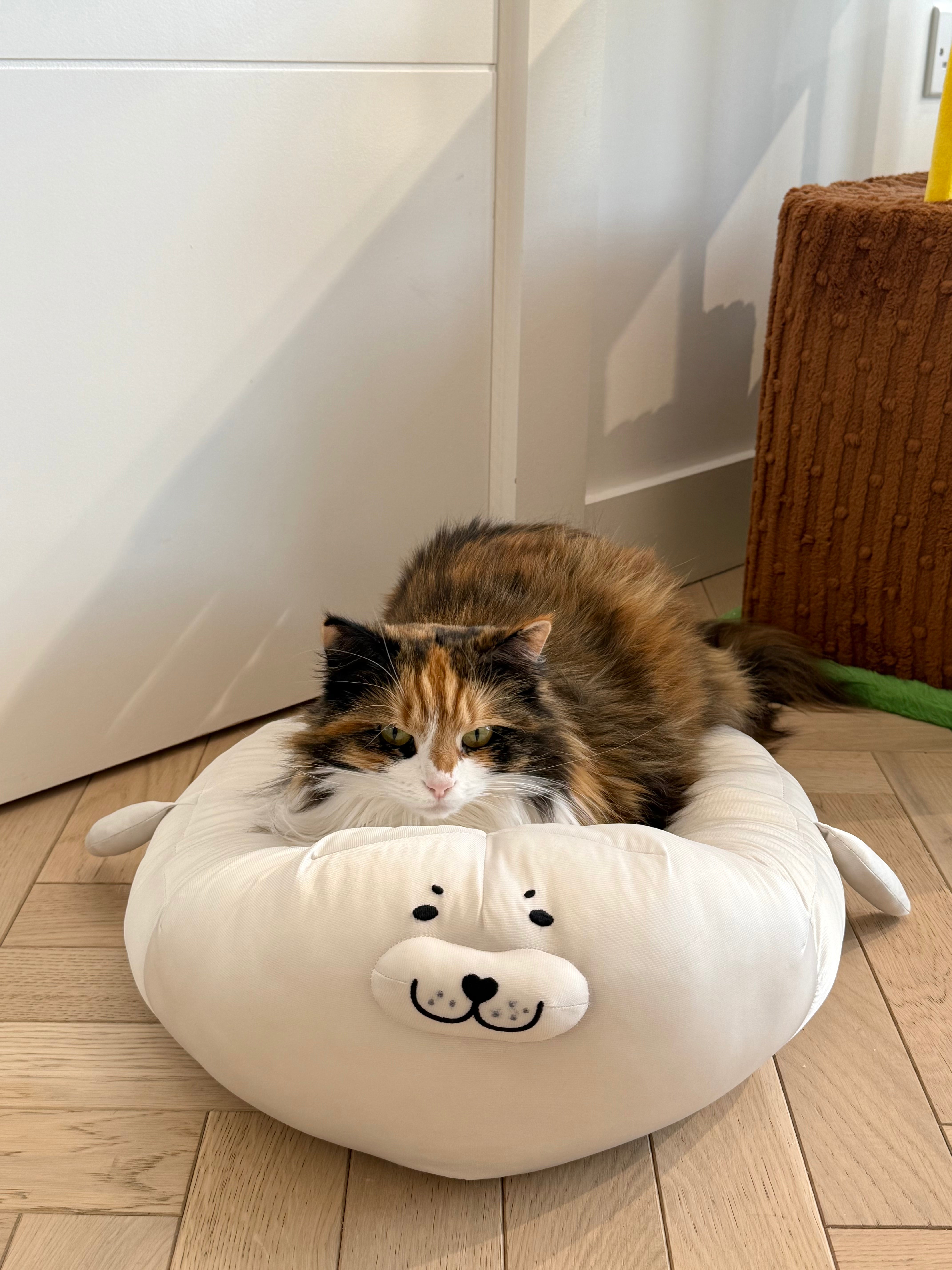 ZEZE cat bed (seal shape)