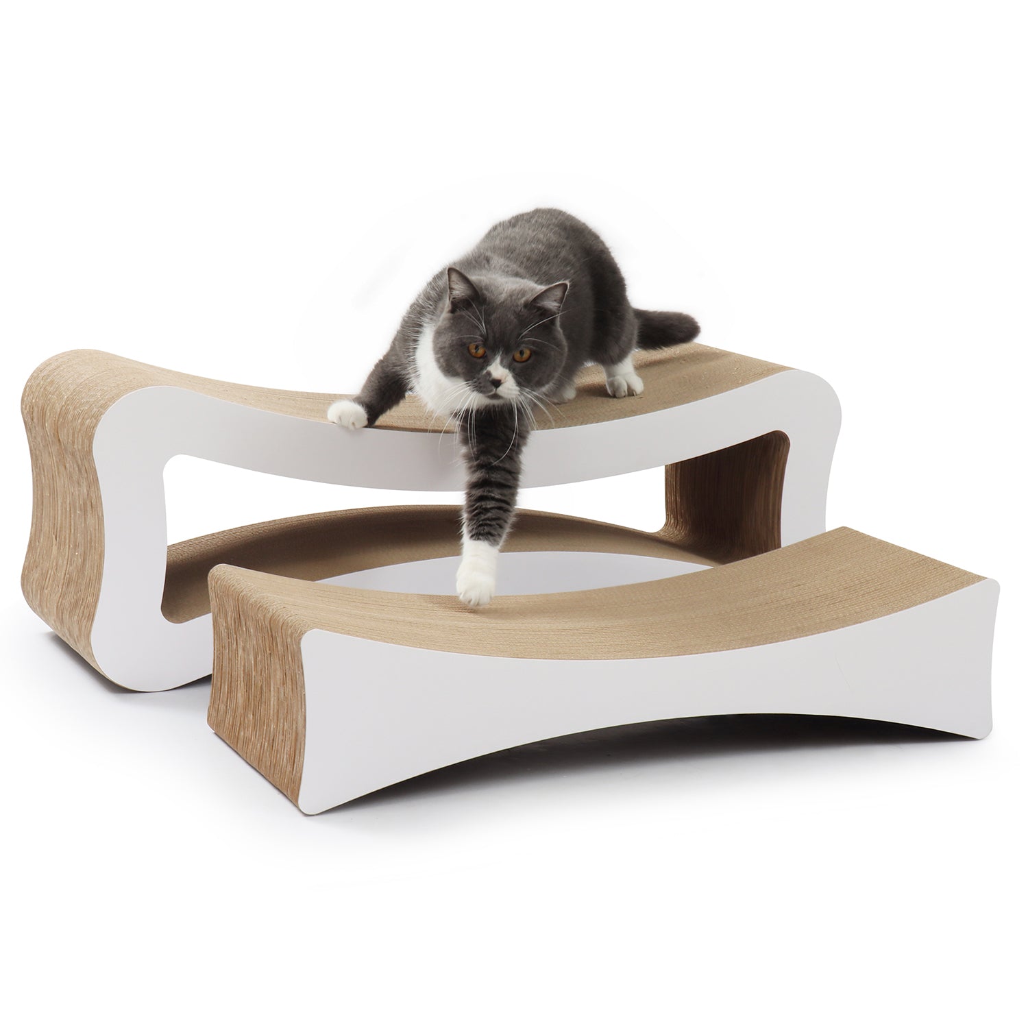 2 in 1 Ultimate Cat Scratcher Lounge