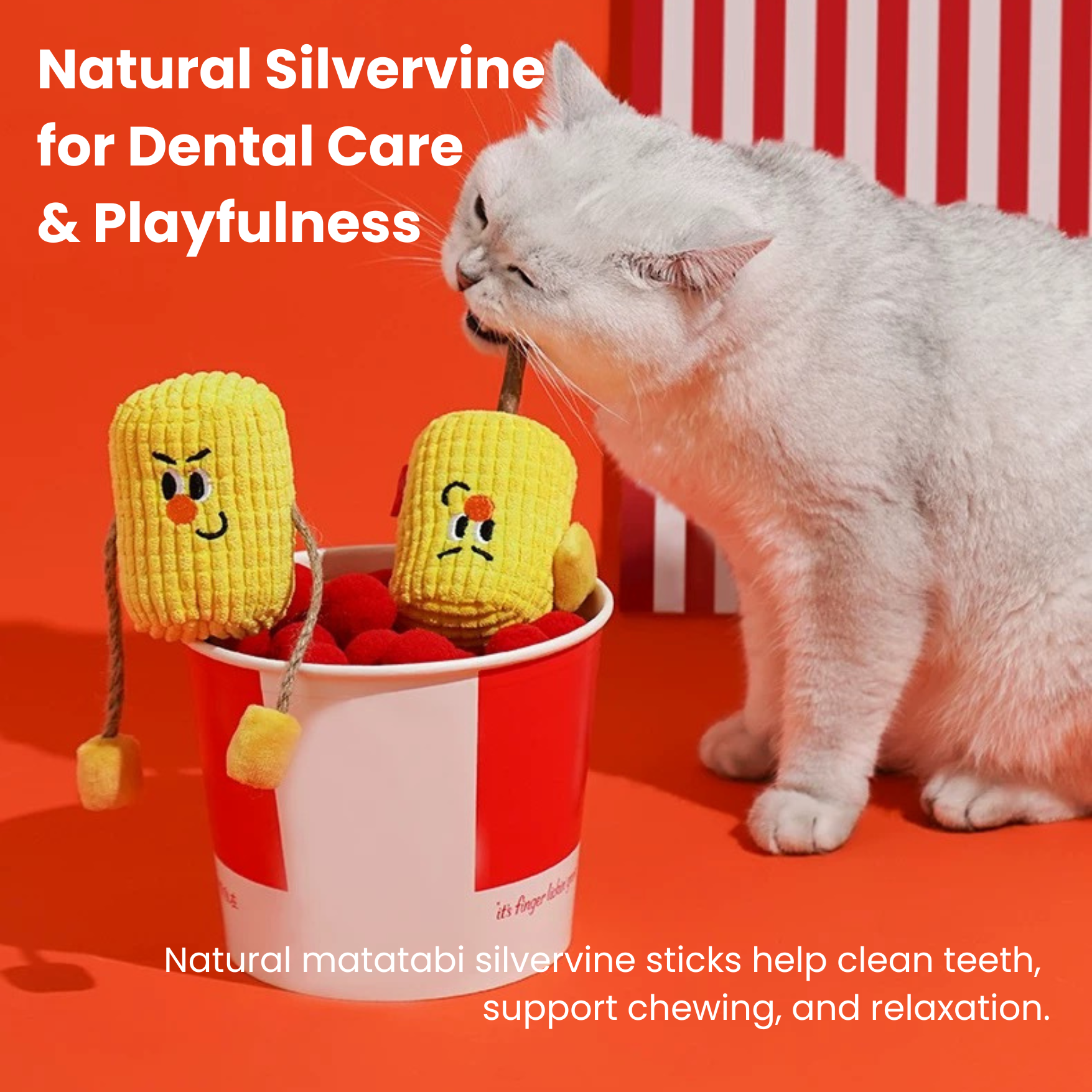 Silvervine Matatabi Wood Pet Toy With Catnip