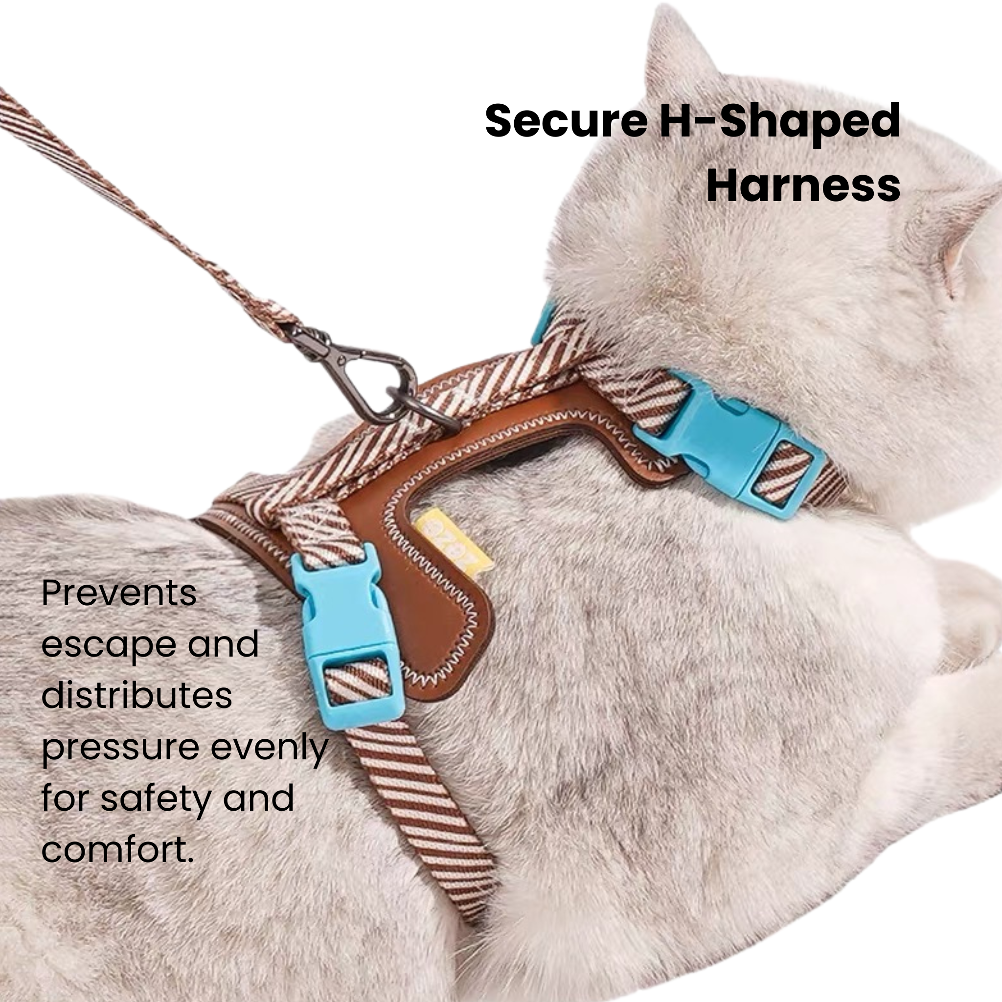 zeze Pet Leash & Harness Set