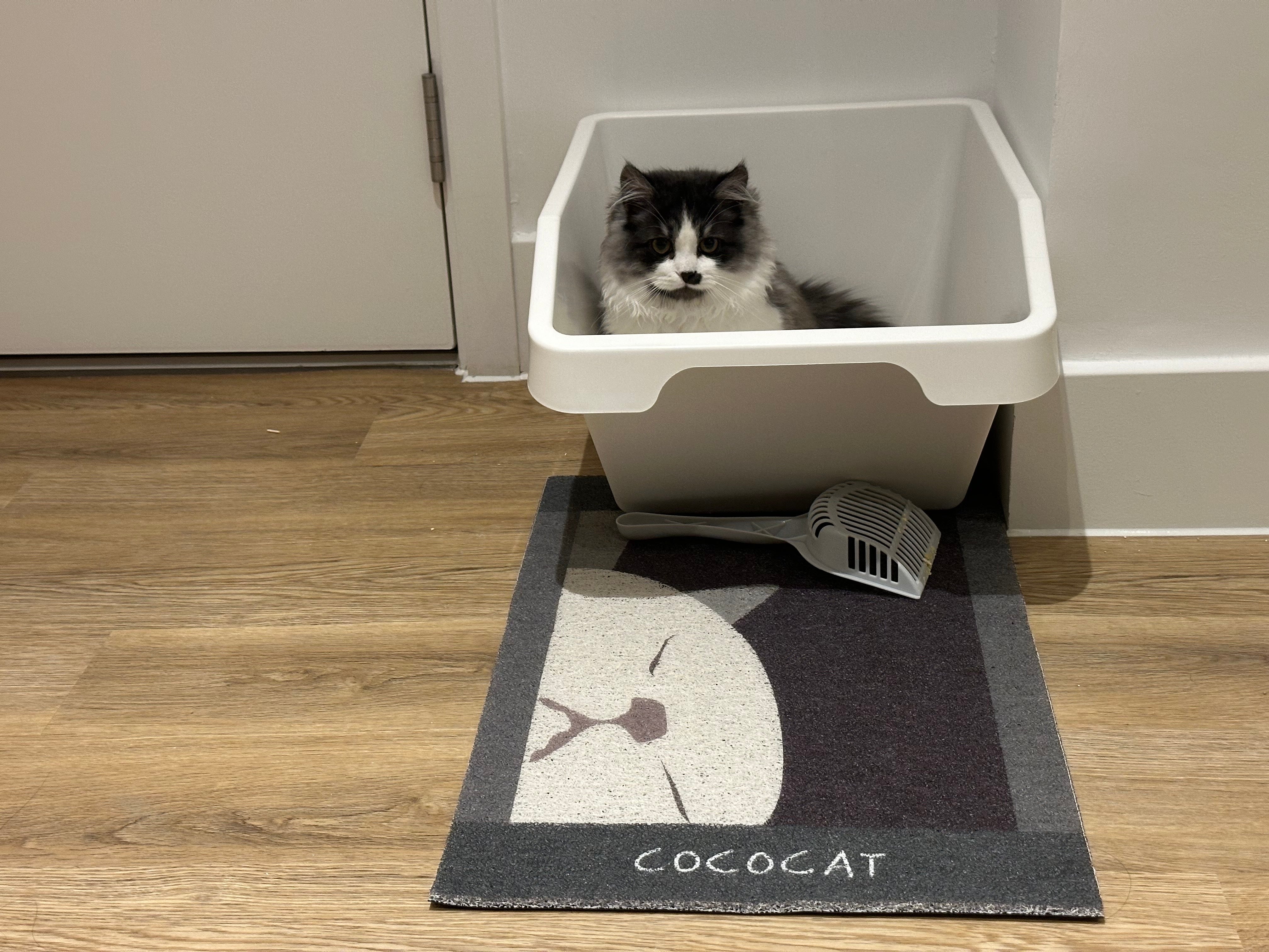 Cococat Gift Voucher