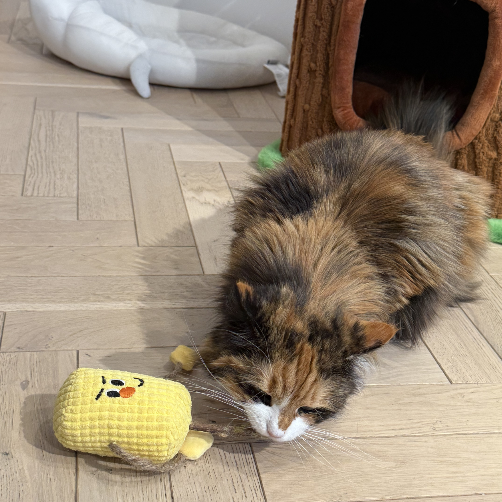 Silvervine Matatabi Wood Pet Toy With Catnip
