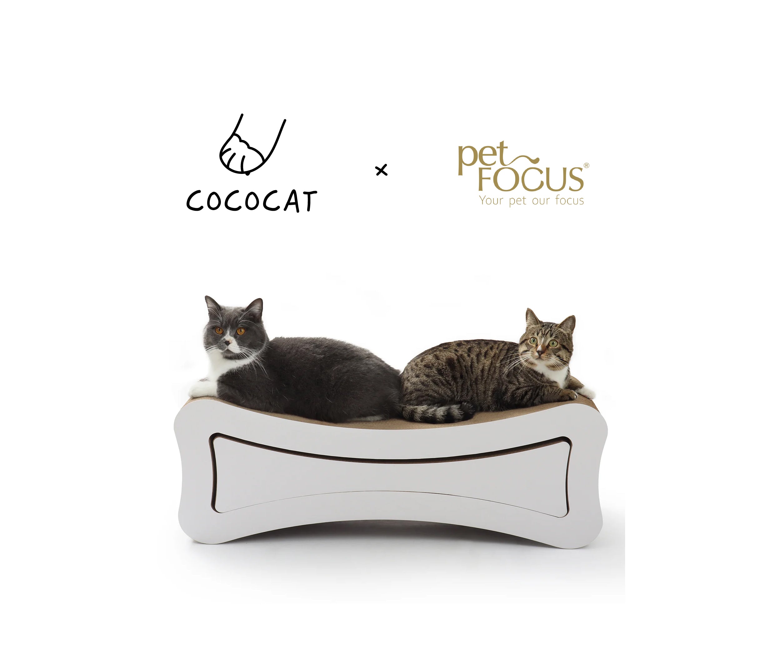 2 in 1 Ultimate Cat Scratcher Lounge