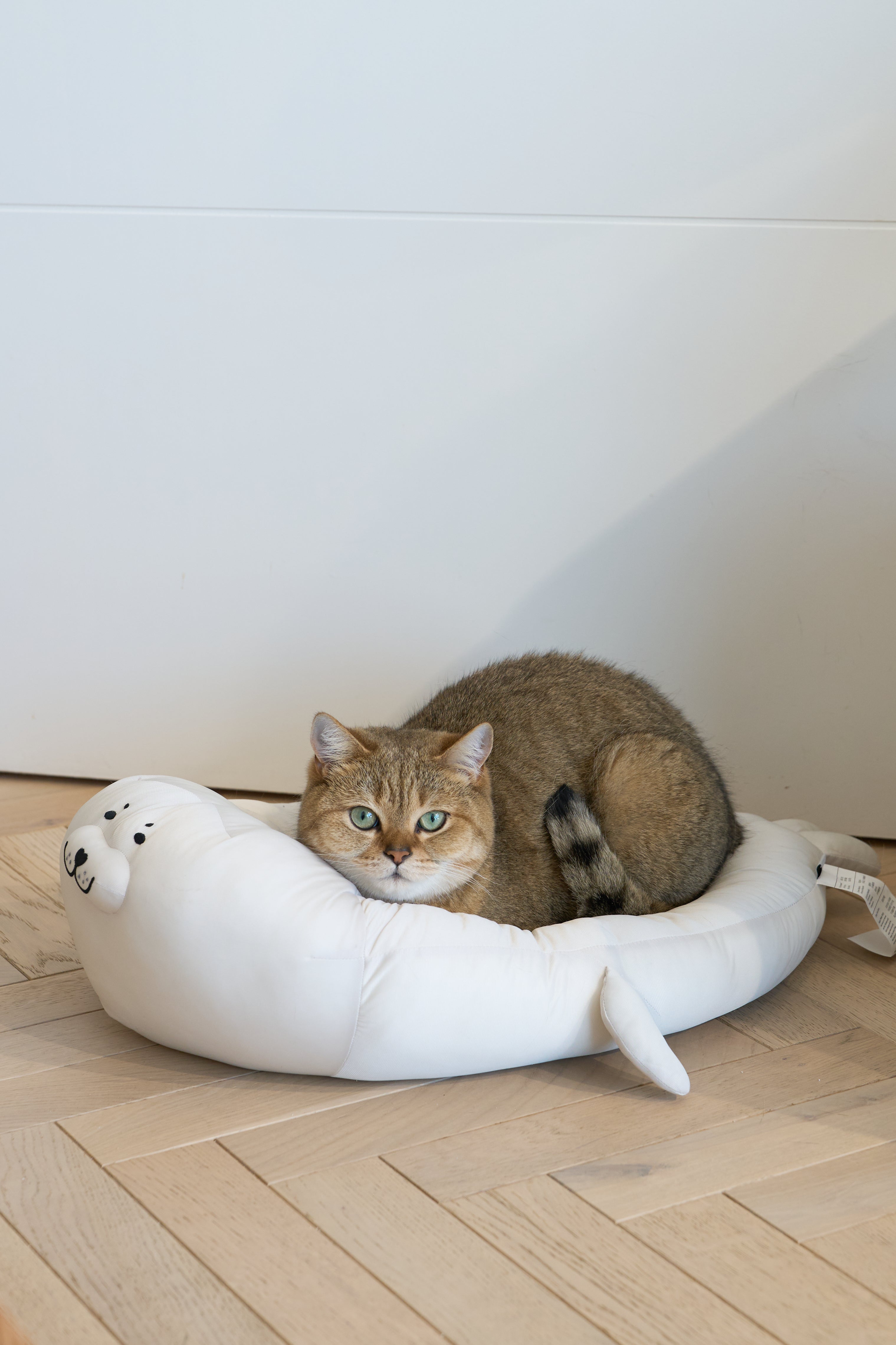 ZEZE cat bed (seal shape)