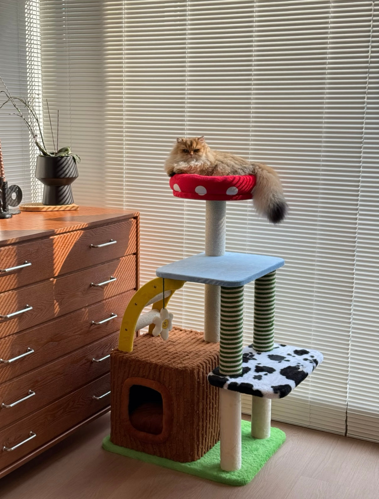 zeze 3-in-1 Multi-Function Cat Tree — Bed, Scratcher & Multi-Level Activity Tower