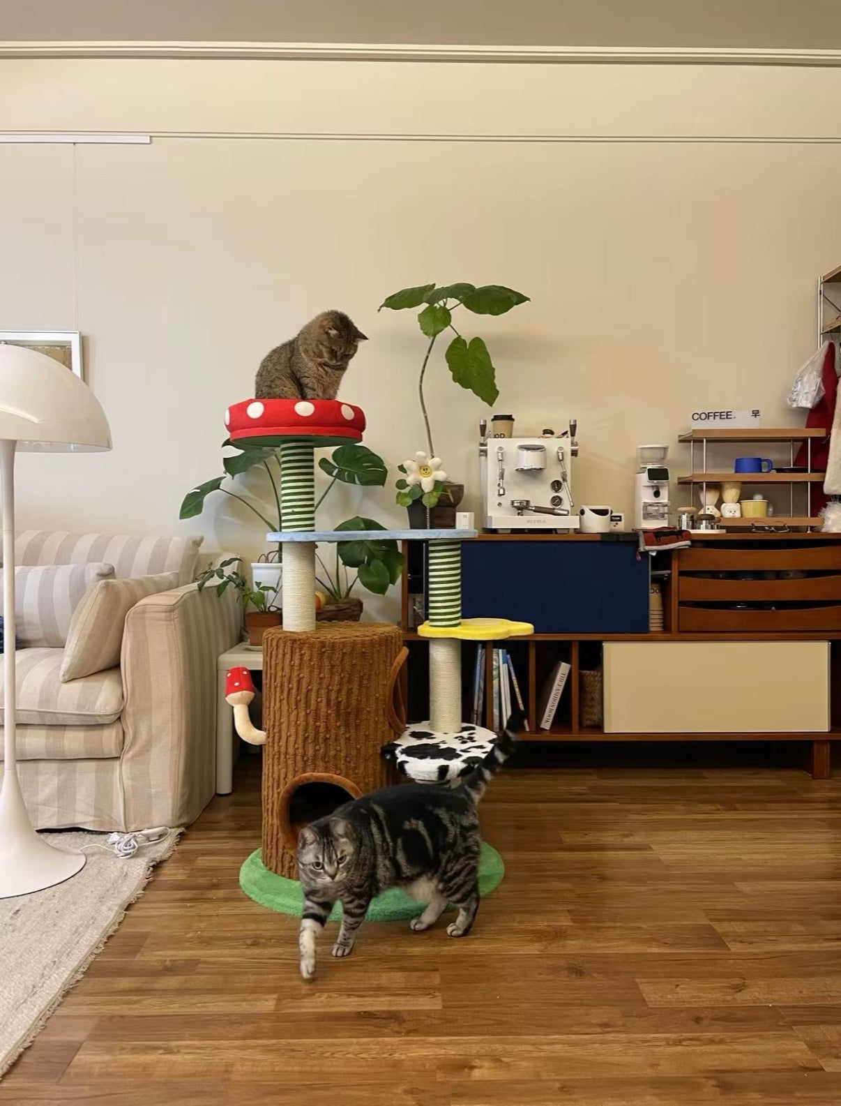 zeze Deluxe 3-in-1 Multi-Function Cat Tree — Bed, Scratcher & Multi-Level Activity Tower